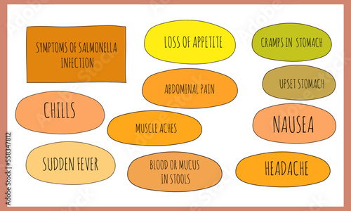 symptoms of Salmonella infection.  Vector illustration for medical journal or brochure. 