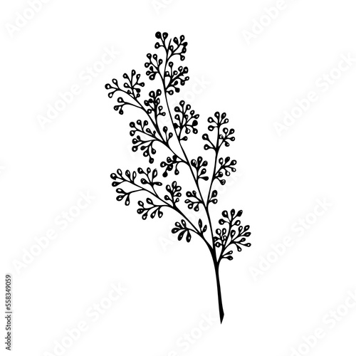 Botanical graphics. Lush twig with flowers decor vector. Decorative flower for bouquets, twig silhouette. Clip art herbarium.