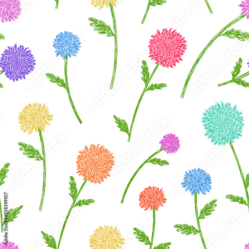 Colorful chrysanthemum seamless pattern. Color flowers set. Hand drawn floral vector illustrations. Pen or marker sketch. Natural pencil drawing