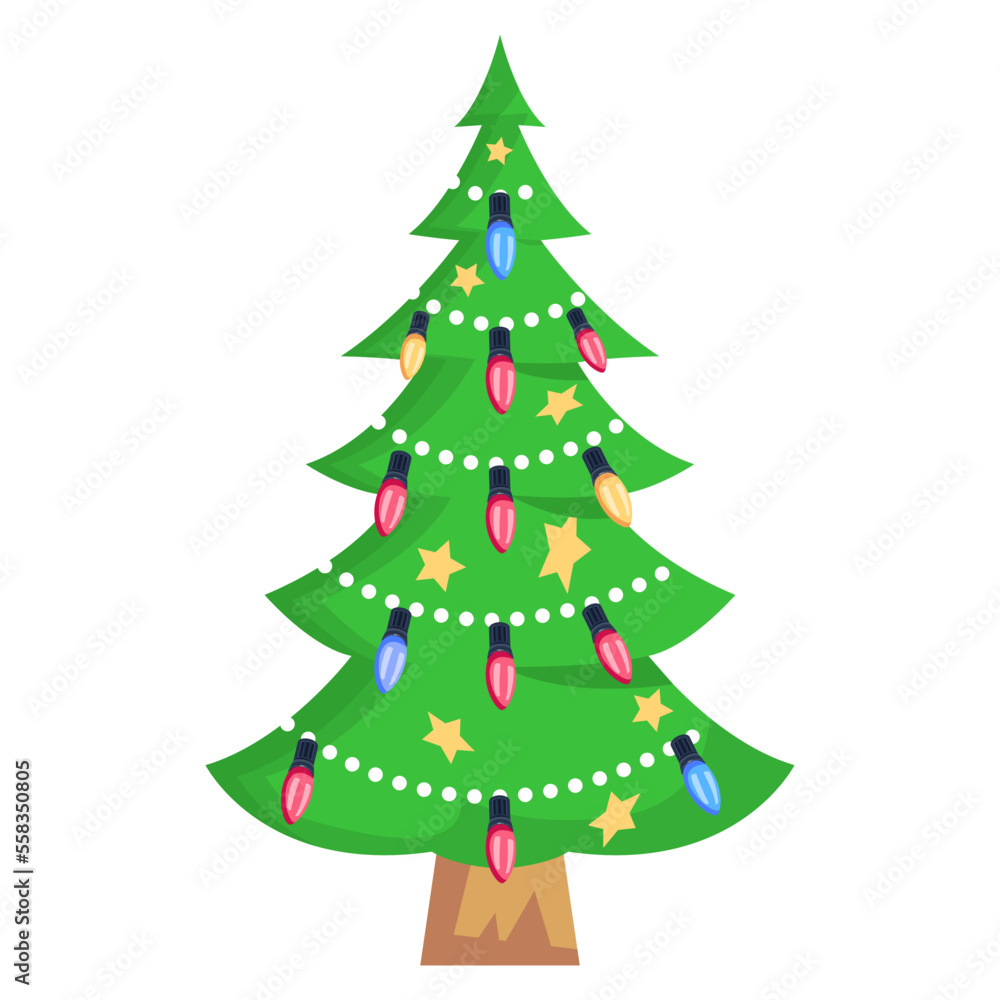 Conifer Conifer