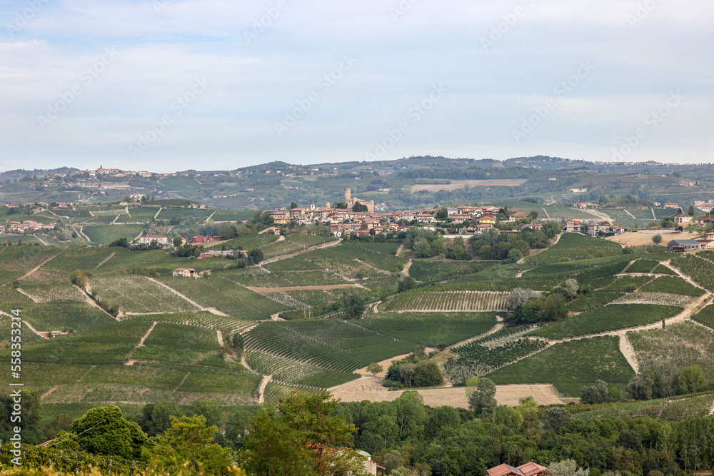 Langhe vineyards near Serralunga d'Alba. Unesco Site, Piedmont, Italy