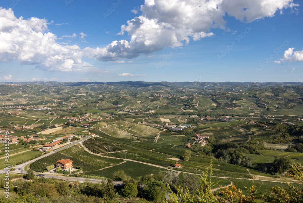Obraz premium Langhe vineyards near Barolo and La Morra, Unesco Site, Piedmont, Italy