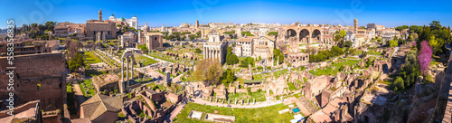 Photography Historic Rome ruins on Forum Romanum panoramic view from above