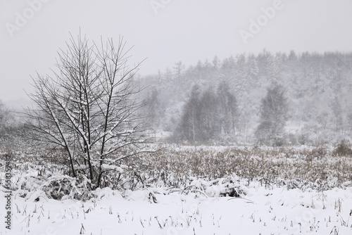 Wallpaper Mural Zima Torontodigital.ca