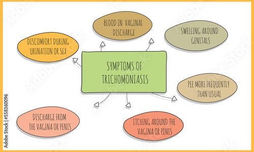 symptoms of  trichomoniasis.  Vector illustration for medical journal or brochure. 