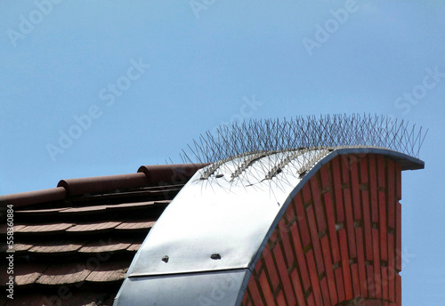 Anti-roosting spikes or bird prevention and repellent strip attached on top of metal flashing on roof top parapet. bright blue sky. bird control concept. needle like deterrent metal spikes