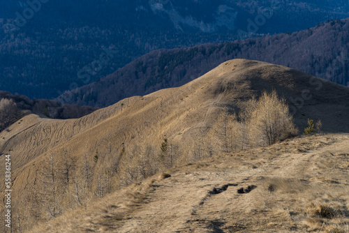 Sunny day on the mountain  Baiului Mountains  Romania 