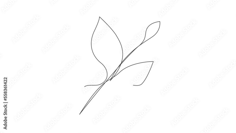 One Line Drawing Eucalyptus Leaf Twig Animation, Minimal One Line Drawing Palm Tree Leaf, Continuous Line Draw, Tropical Animated Illustration One Line Drawing Eucalyptus Leaf Twig Animation, Minimal One Line Drawing Palm Tree Leaf, Continuous Line Draw, Tropical Animated Illustration