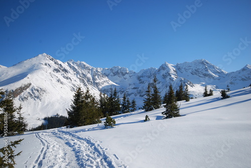 Tatry, góry, zima, śnieg, dolina, TPN, krajobraz,  panorama, © Albin Marciniak