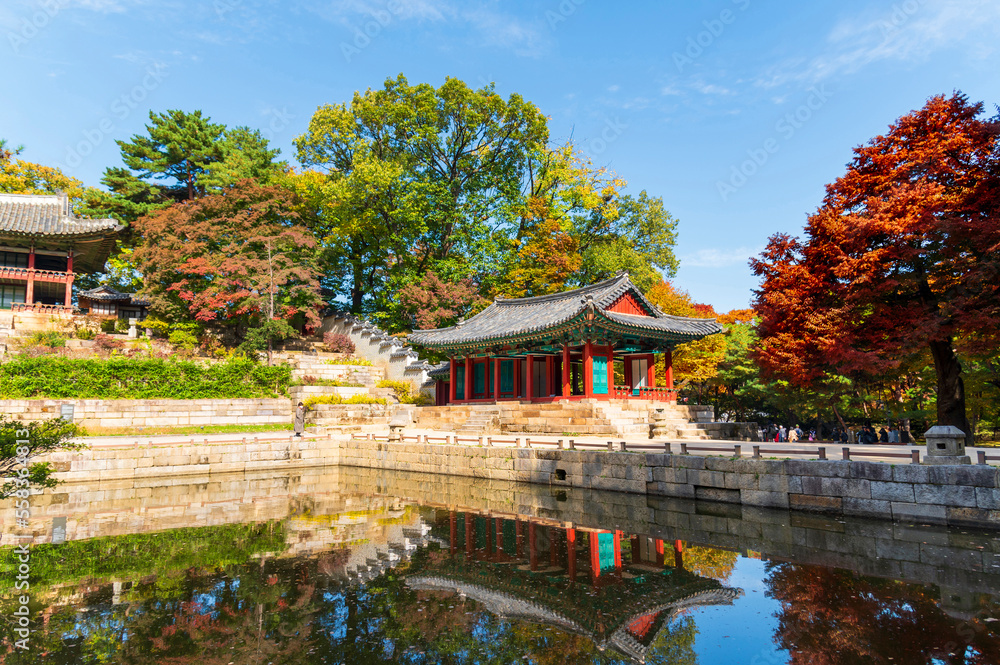 SeHuwon the Secret Garden inner part of Changdeokgung Palace with Autumn season background, Seoul city,  South Korea