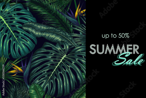 Vector template of summer discount banner with tropical plants. Palm and banana leaves, monstera, strelitzia, aralia, elephant ear leaf