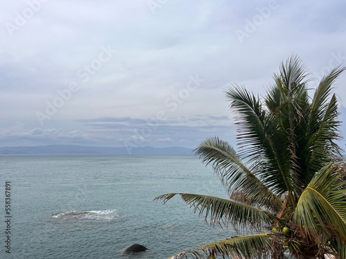 sea sunset wave palm trees on the shore a bridge with a beautiful promenade