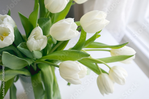 Bouquet of white tulips on the table by the window