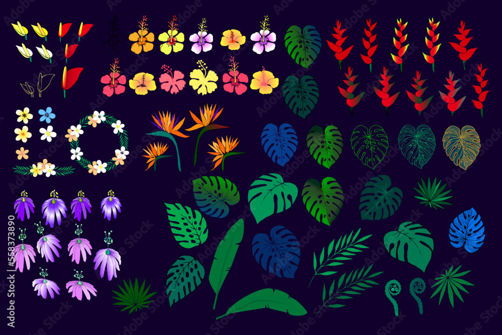 Set of Tropical leaves and flower. Plant Monstera, palm, fern leaves. Floral Plumeria, Strelitzia, Heliconia, Hibiscus, Passion fruit hand drawn vector illustration