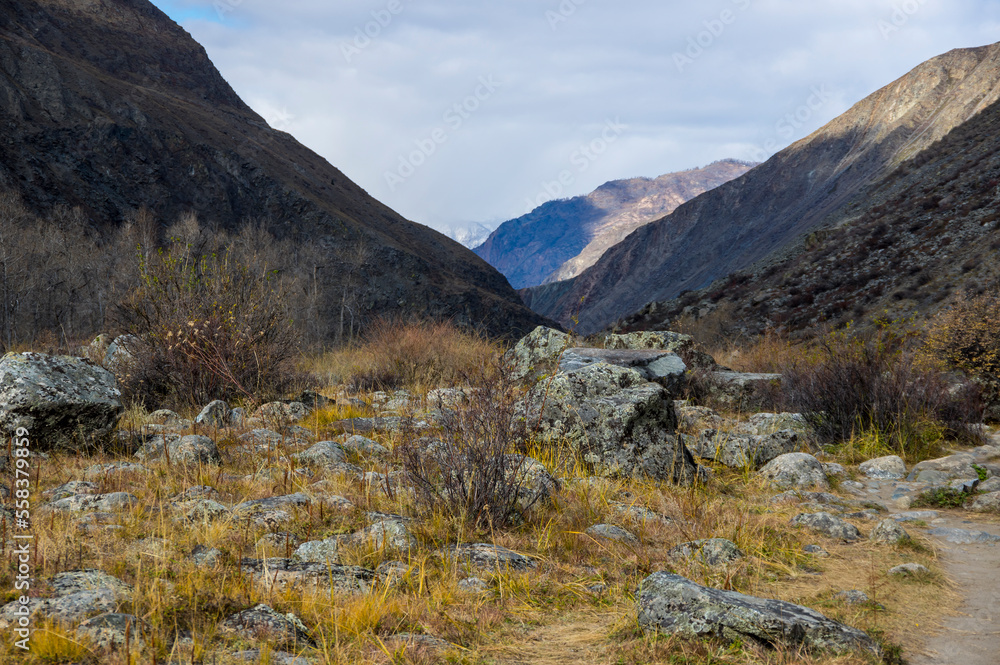 View of Chulyshman valley in Altay mountains in the autumn View of Chulyshman valley in Altay mountains in the autumn
