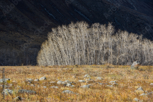 View of Altay mountains photo