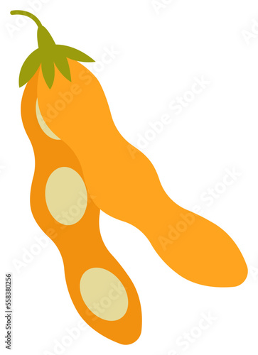 Bean flat icon Allergen food