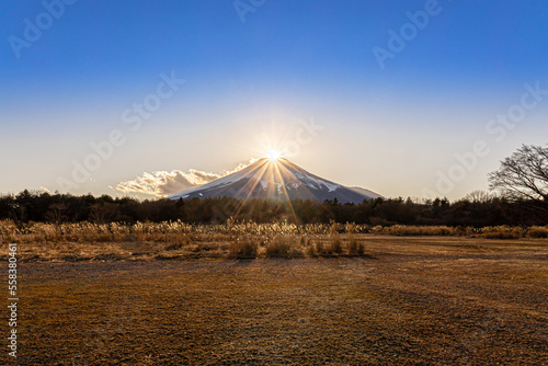 山中湖花の都公園から見たダイヤモンド富士