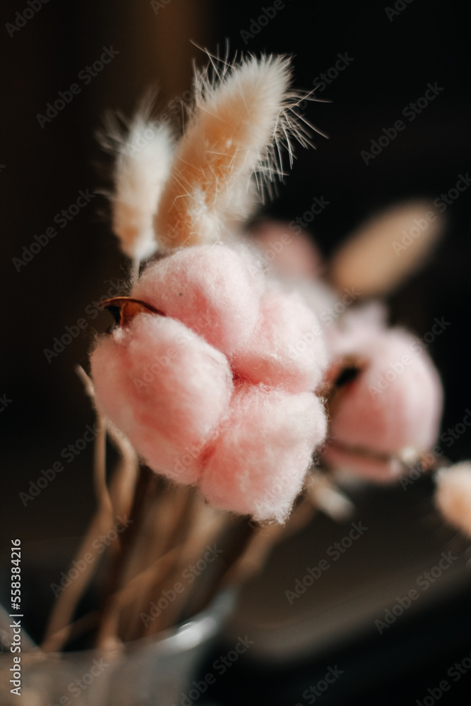 Cotton
