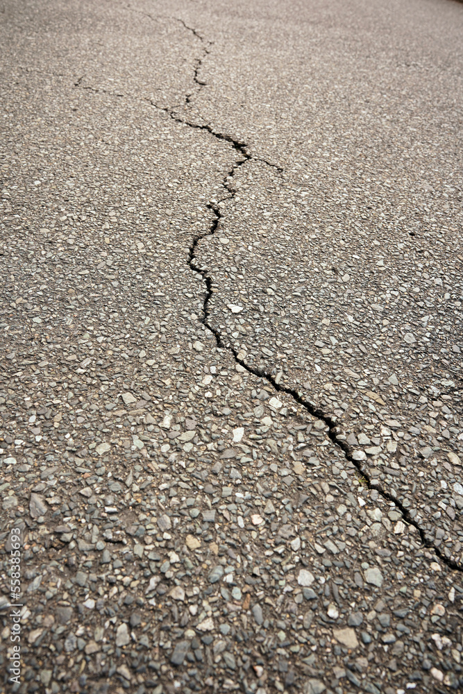 Obraz premium アスファルト道路のひび割れ