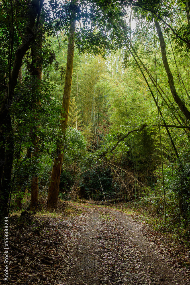 Obraz premium 兵庫県・1441年室町時代、京より旧播磨国へ栄枯盛衰の赤松古道。