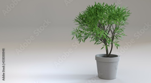 3D rendering. A plant in a white pot isolated on a light background, side view.