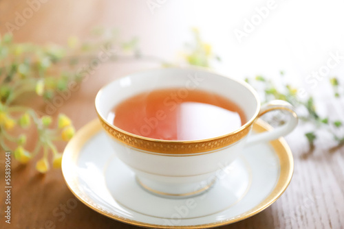 紅茶 ティータイムイメージ