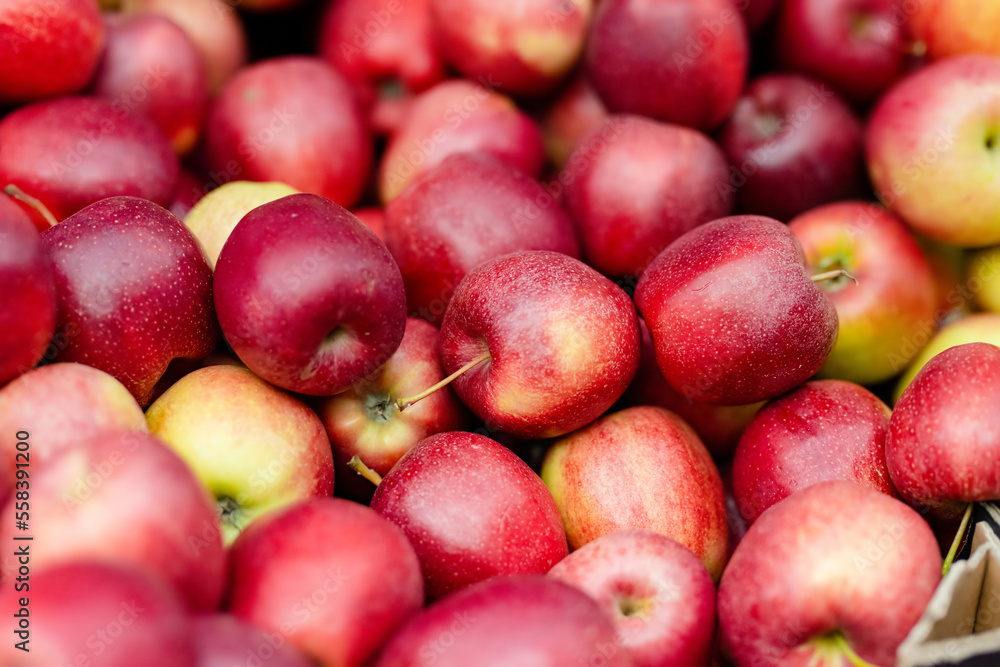 Fresh red and yellow apples in wooden crates sold on farmers food market in Vilnius, Lithuania Fresh red and yellow apples in wooden crates sold on farmers food market in Vilnius, Lithuania