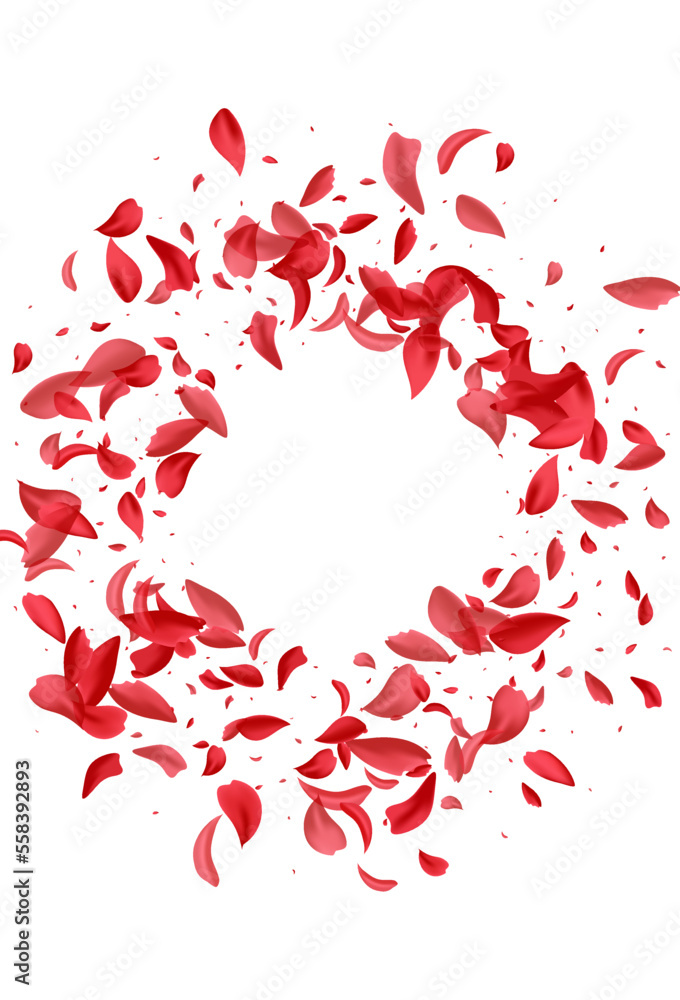 Pink Rose Fly Vector White Background. Beauty Pink Rose Fly Vector White Background. Beauty