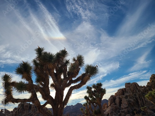 Cloud Rainbow