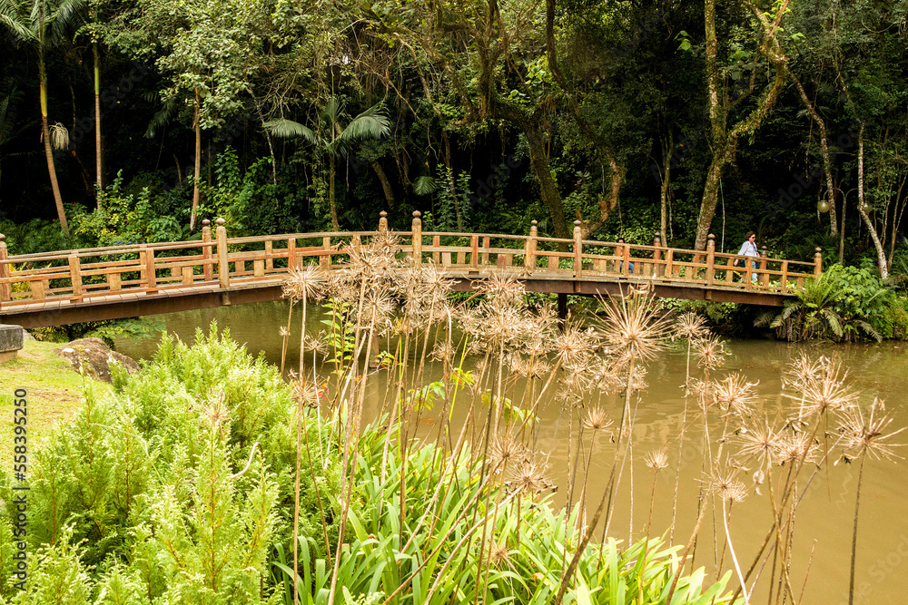 Ponte de madeira sobre um lago no Templo Zu Lai, Cotia, São Paulo, Brasil.