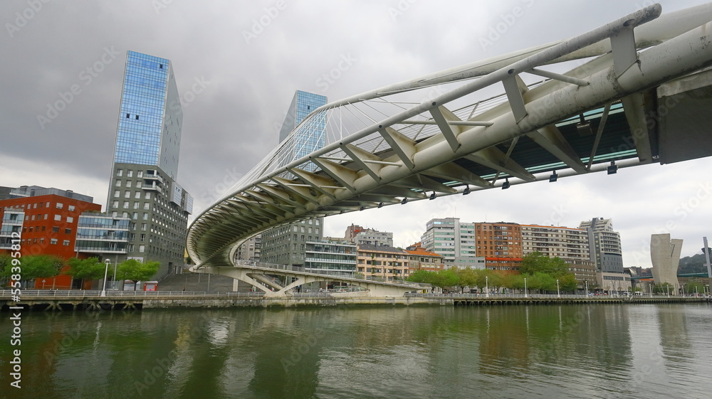 Puente Zubizuri Bilbao.