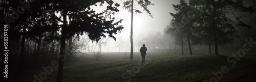 Dark landscape showing the silhouette of a woman walking alone in the park on a night in winter mist © Solid photos
