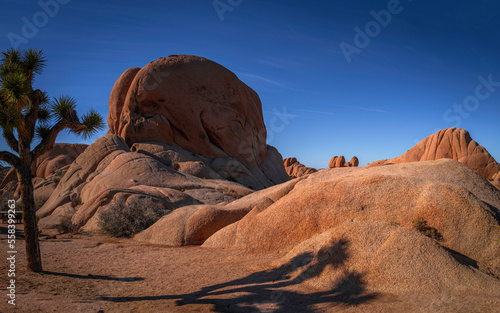 Joshua Tree National Park Hiking Trail Landscape Series, palm trees and red boulders of rugged rock formations in Southern California, USA