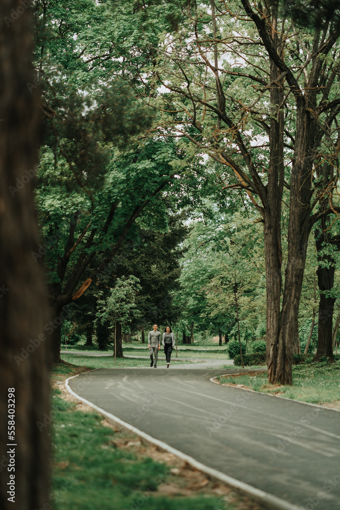 Obraz premium Walking from the distance