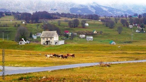 4K Footage of farm life in montenegro pasina voda, near of Durmitor mountains a small green village with organic farms and animals  photo