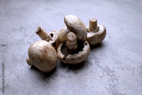 Raw mushrooms champignons on gray background, cooking fresh champignons.