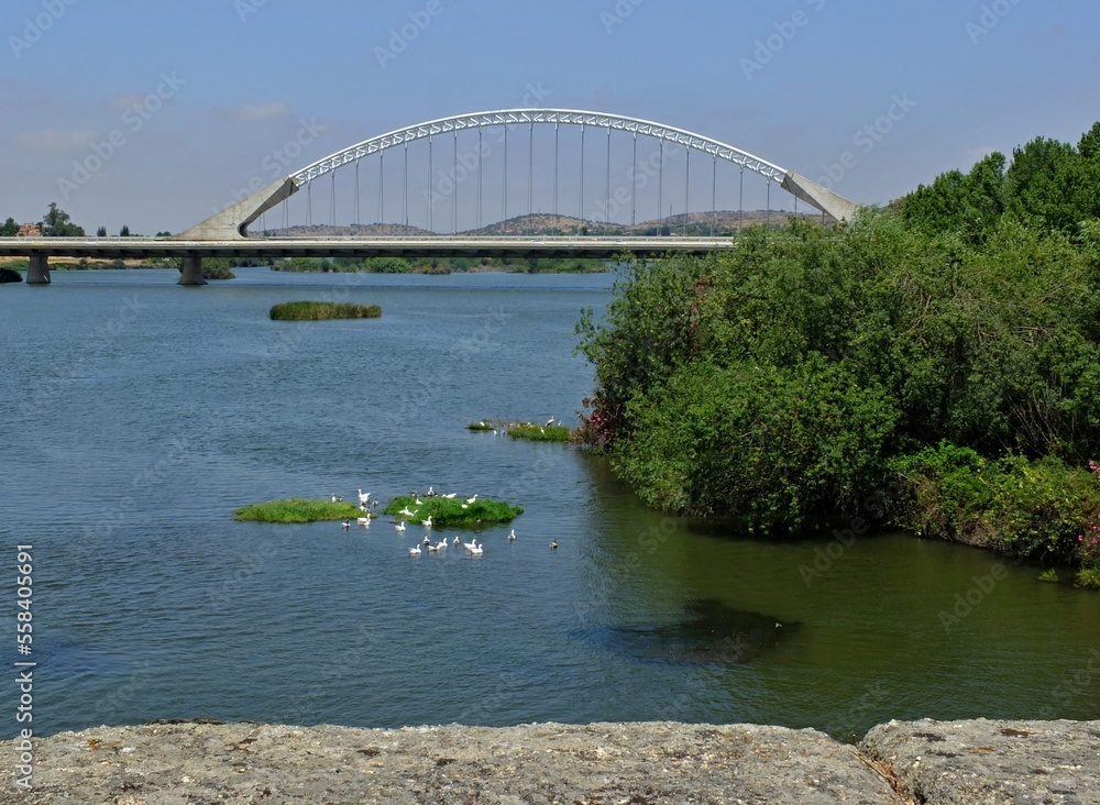 Guardiana river and Lusitania bridge in Merida, Extremadura - Spain 