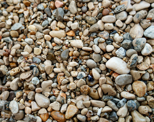 Sea stones background. Flat lay texture of sea stones.
