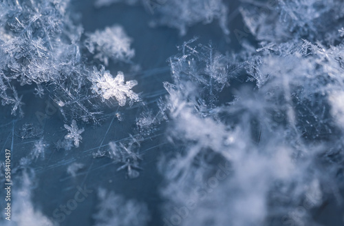 Snowflakes close-up in winter on the board. © Сергей Лаврищев