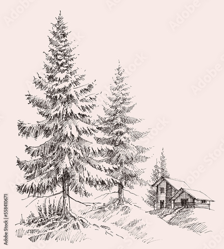 Alpine landscape sketch. Mountain cabin, pine tree forest and mountain ranges © Danussa
