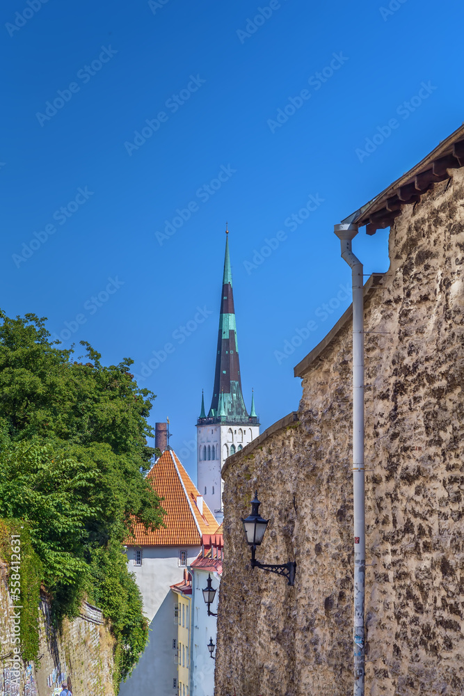 Fototapeta premium Street in Tallinn, Estonia