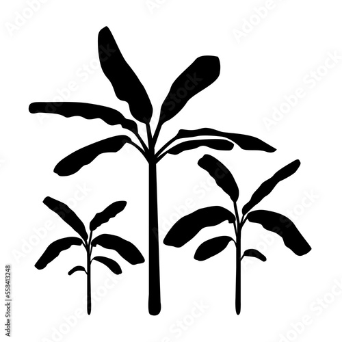 banana tree silhouette illustration vector