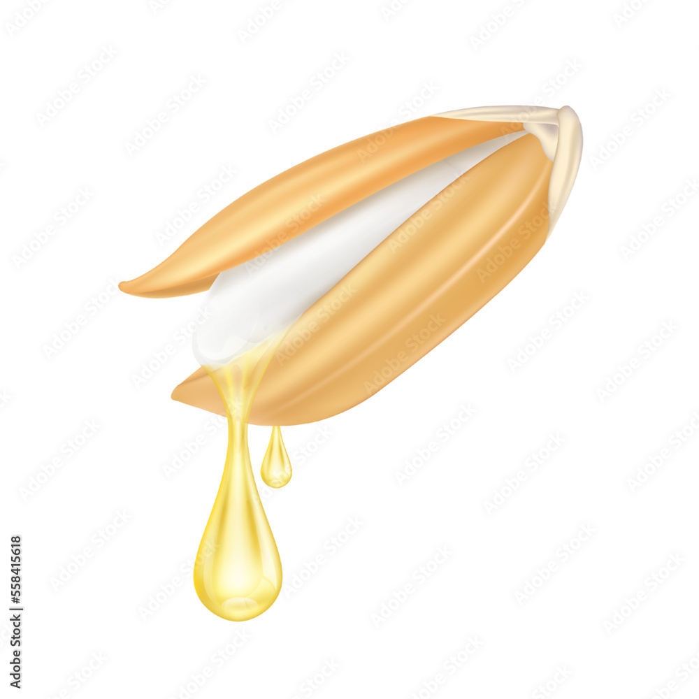 Rice bran oil dripping from paddy ear rice seed close up realistic ...