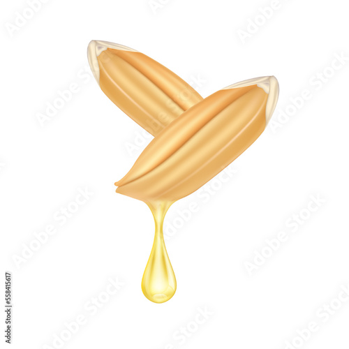 Rice bran oil dripping from paddy ear rice seed close up realistic. Vegetarian organic ingredient for cooking. Oil drop extract shiny golden yellow 3D isolated on white background. Vector EPS10. photo