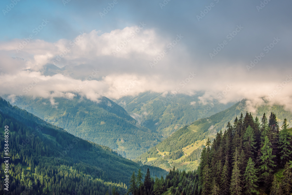 Obraz premium Sunny morning in the Alps. Geen alpine valley in the summer morning, Austrian Alps, Salzburg Land.
