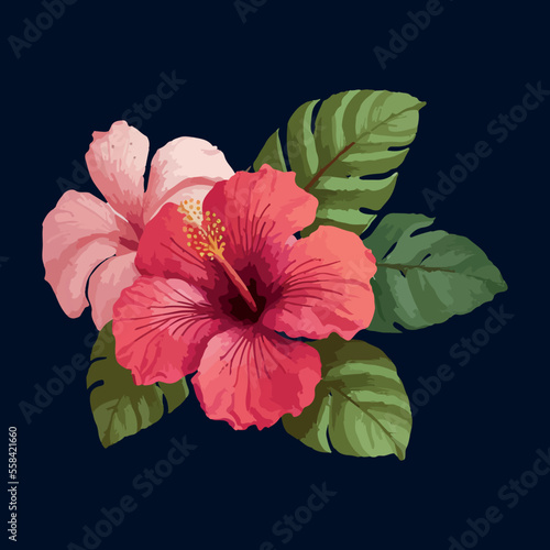 Watercolor vector tropical hibiscus flower isolated