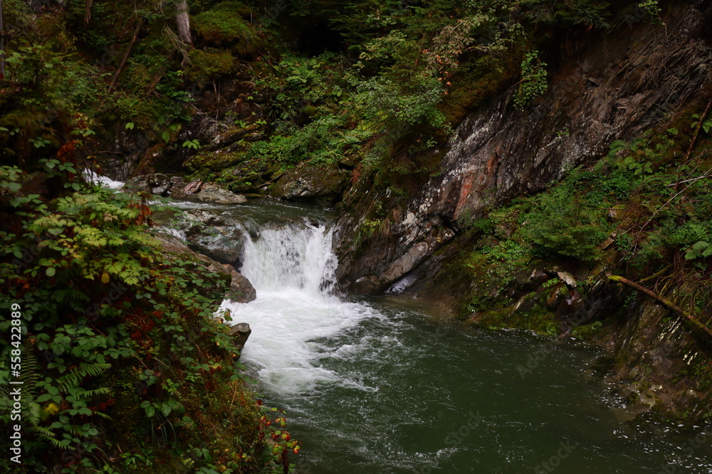 The gorges of Fier are very narrow and deep gorges in Haute-Savoie just next to Annecy The gorges of Fier are very narrow and deep gorges in Haute-Savoie just next to Annecy