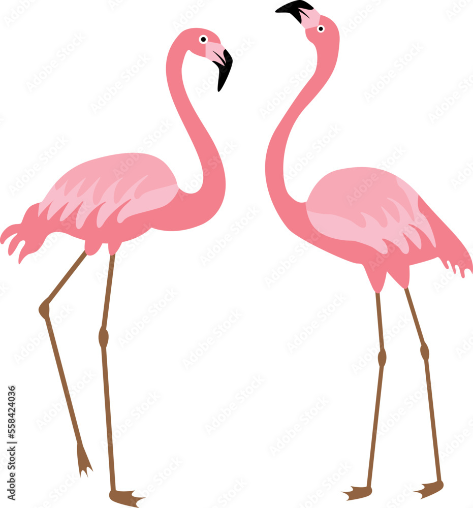 Pink flamingo pair icon. Romantic tropical birds