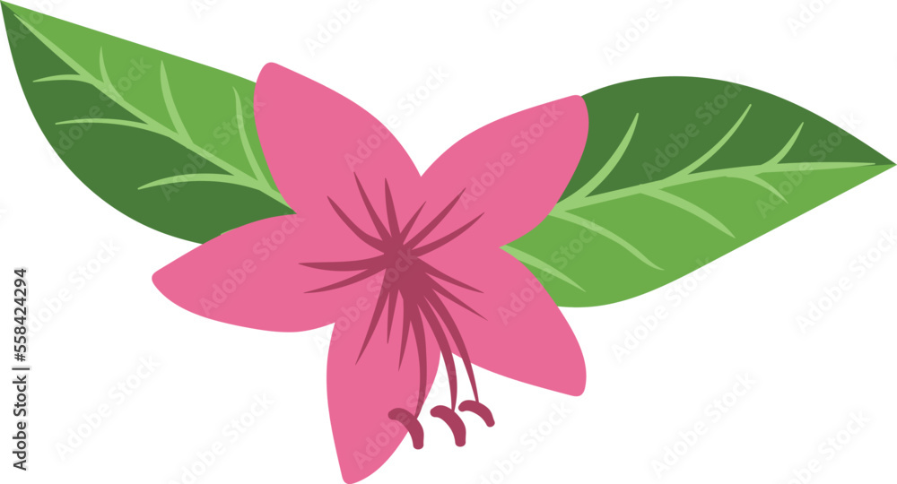 Tropical flower with green leaves. Jungle nature element